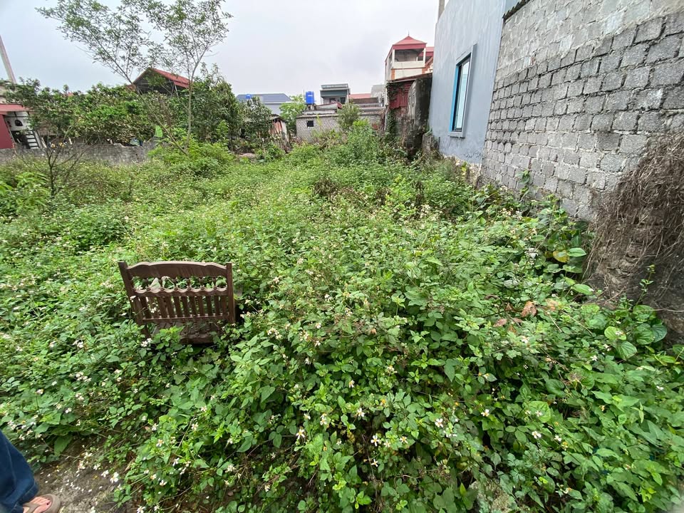 Đất nền Đồng Tân 57,6m² giá 1 tỷ - Cơ hội đầu tư hiếm có!