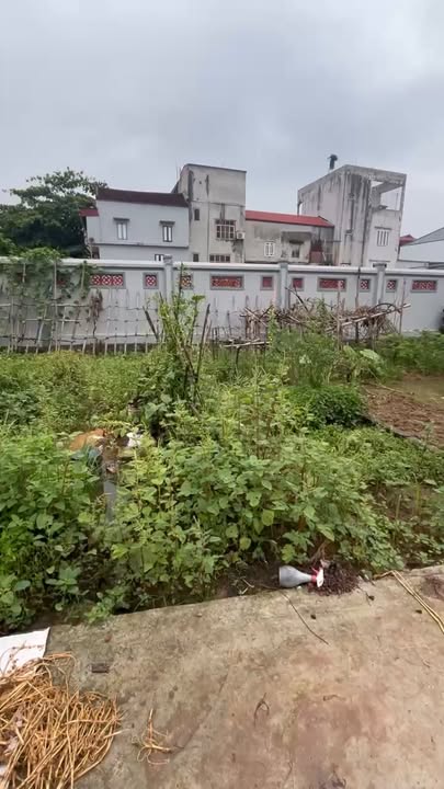 Lô đất Xuy Xá 41,4m² giá chỉ vài trăm triệu - Đầu tư sinh lời ngay!