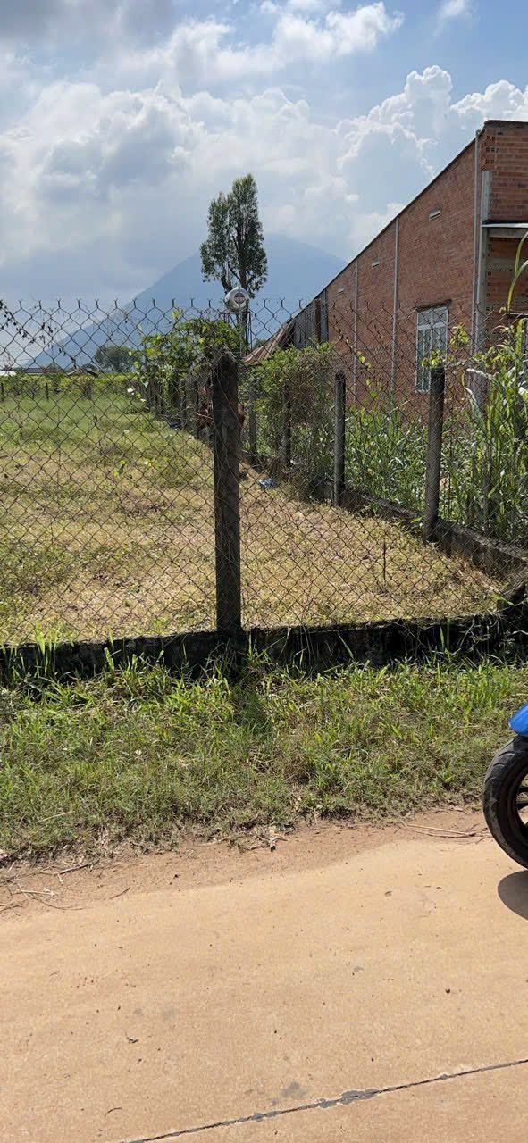 Đất thổ cư Tân Trung B, Tân Hưng 291.5m² giá chỉ 300 triệu - Cơ hội đầu tư hấp dẫn!