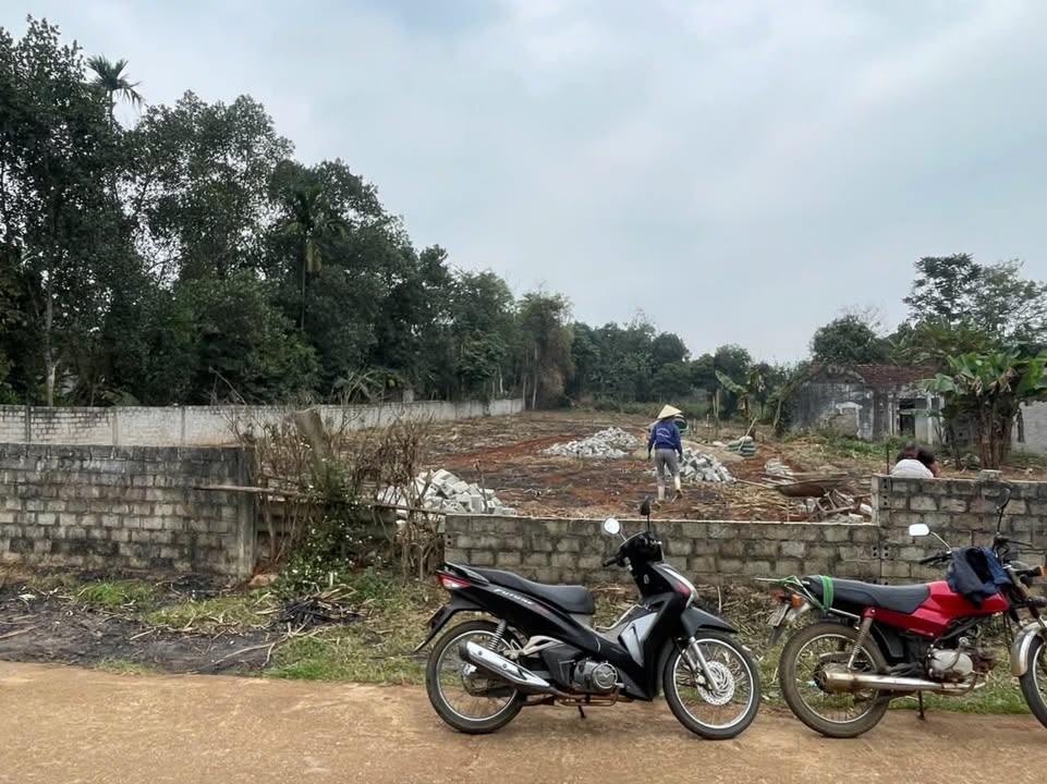 Đất Nghĩa Long Nghệ An 300m² giá thỏa thuận - Cơ hội đầu tư hấp dẫn!