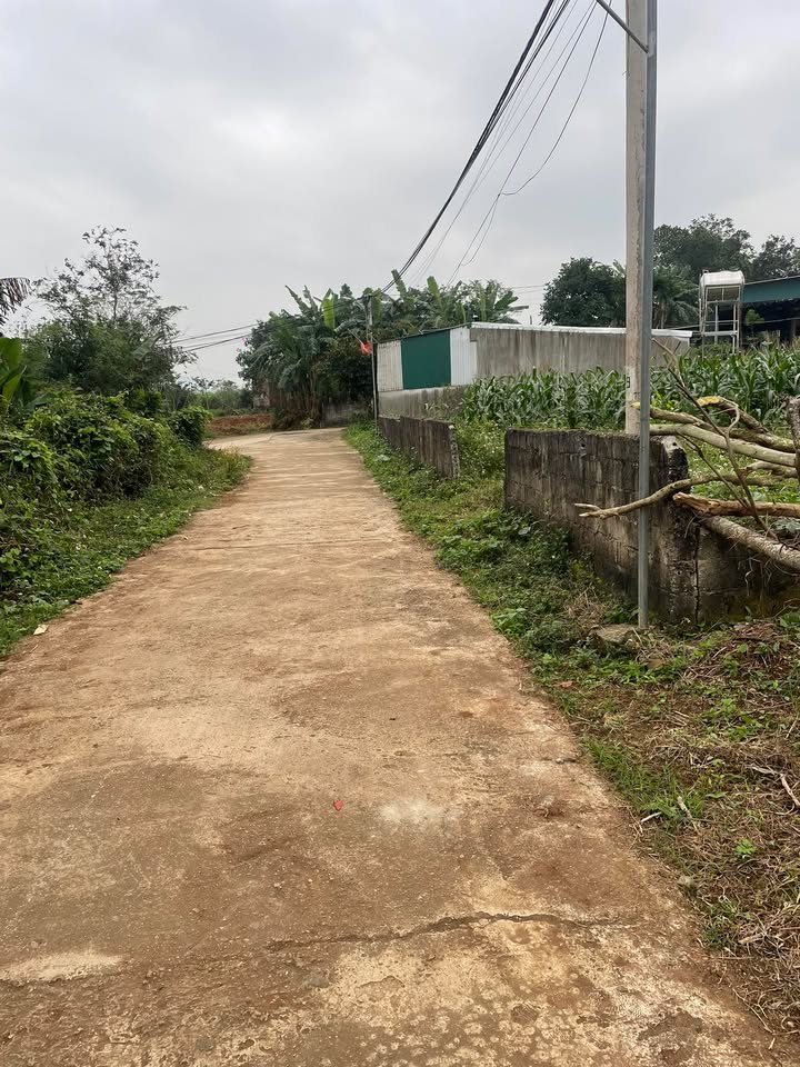 Đất thổ cư 360m² tại Đông Hiếu - Giá 1.1 tỷ, cơ hội đầu tư hấp dẫn!