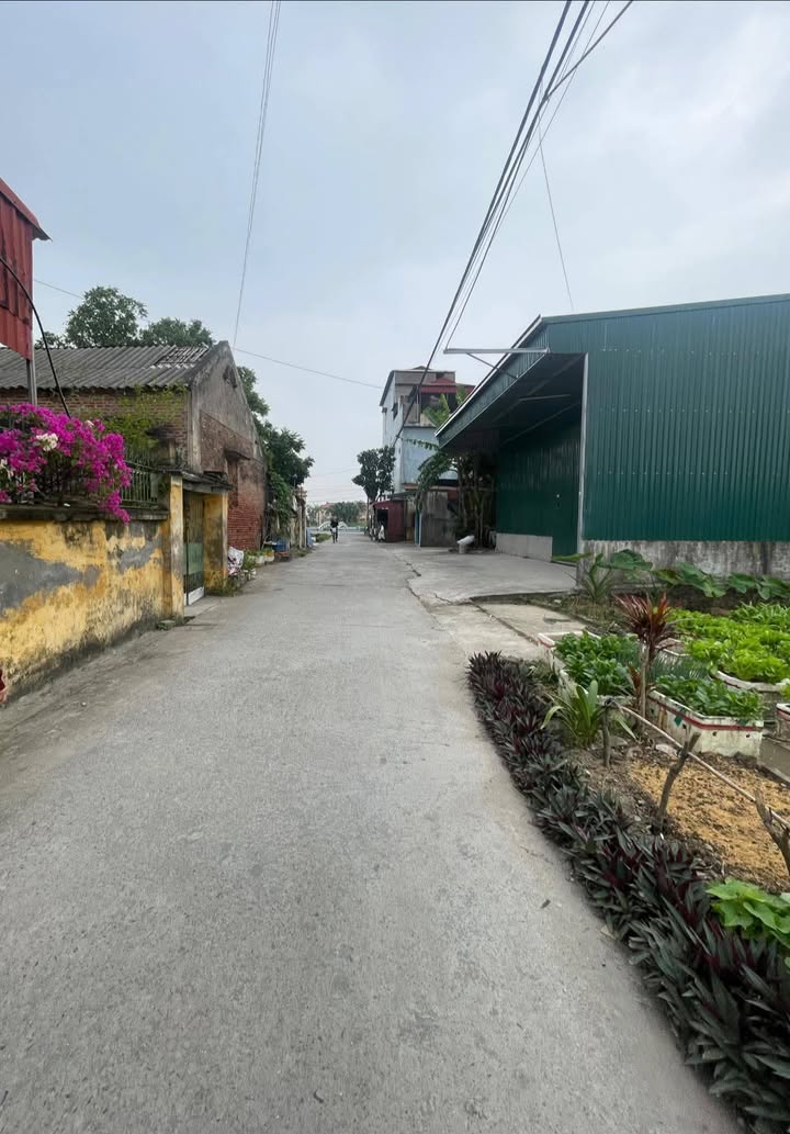 Đất nền Gia Lộc Hải Dương 97m² giá 1 tỷ - Đầu tư sinh lời ngay!