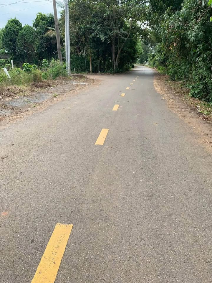 Đất nền Long Tân, Đất Đỏ 145m² giá 990 triệu - Đầu tư sinh lời ngay!