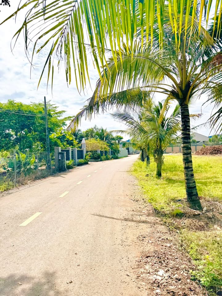 Đất nền Bàu Trâm Long Khánh 204m² giá 790 triệu - Cơ hội đầu tư lý tưởng!