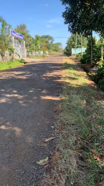 Đất nền Hòa Xuân Buôn Ma Thuột 2500m² giá 2.4 tỷ - Sổ đỏ chính chủ!