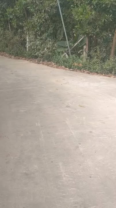 Đất nền 1000m² tại Trung Giã, Sóc Sơn - Sổ đỏ, giá chỉ 2 tỷ VND!