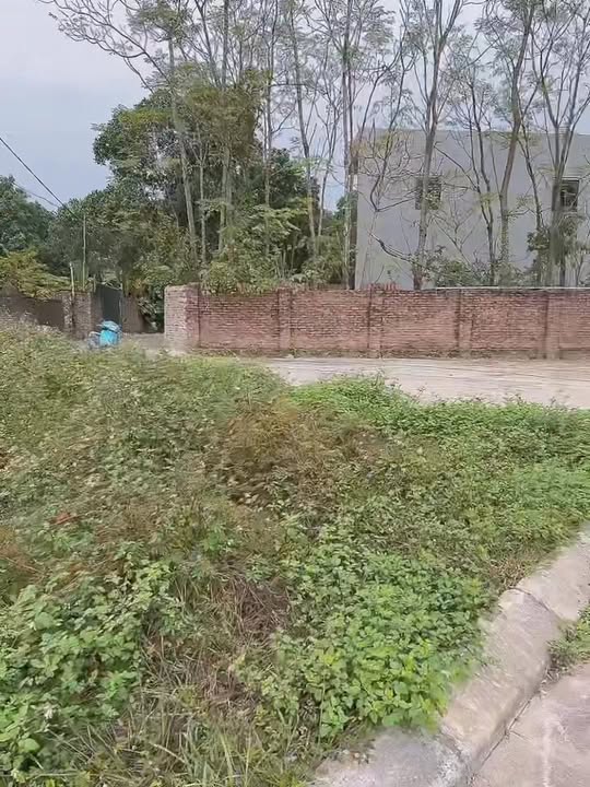 Đất nền 75m² tại Nội Bài, Sóc Sơn - Gần hồ Đồng Quan, ô tô đỗ cửa!