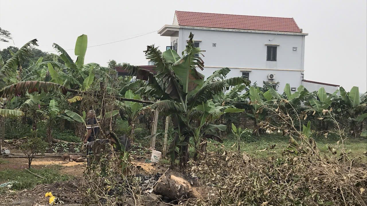 Đất nền xã Hải Hưng, huyện Hải Hậu, Nam Định 100m² - View sông thoáng mát!