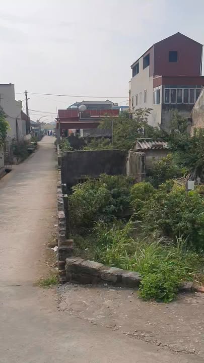 Đất lô góc 2 mặt tiền Đê 58, xã Nam Điền, 360m² - Đầu tư sinh lời chắc chắn!