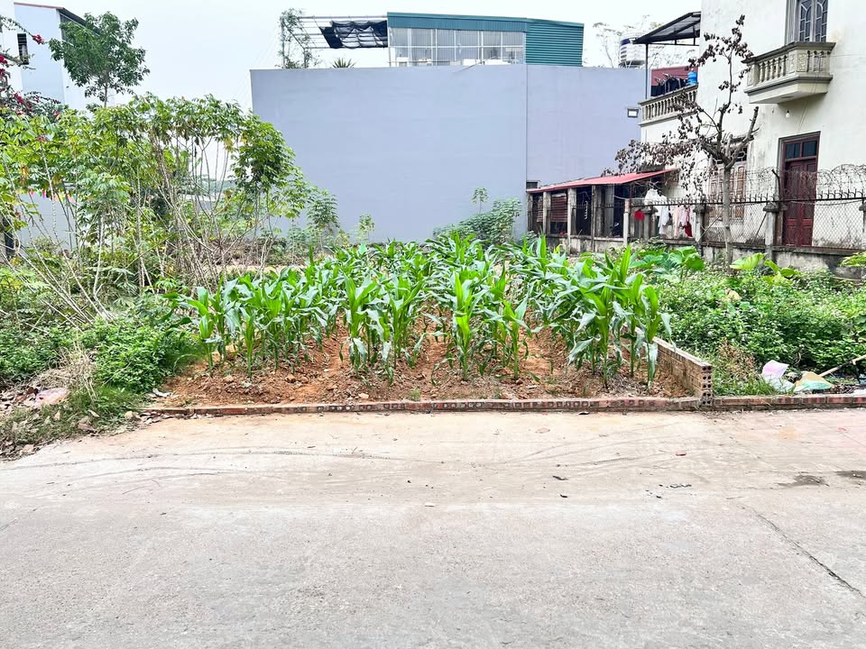 Đất nền Vĩnh Phú - Phật Tích 74m² giá 3 tỷ - Đầu tư sinh lời ngay!