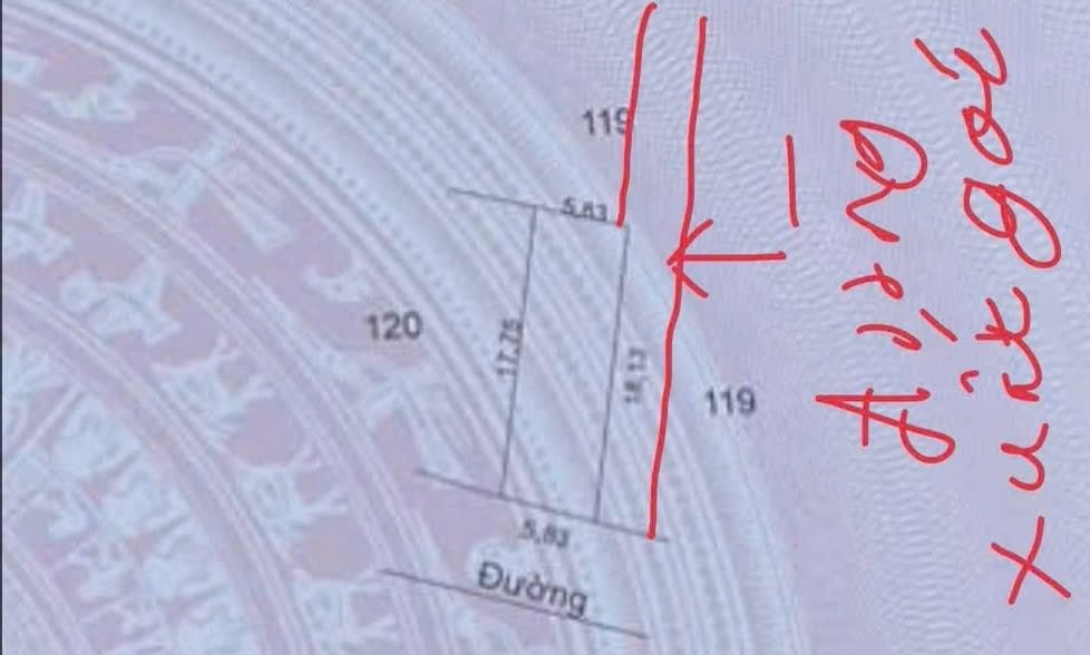 Đất nền Tống Trân, Phù Cừ 104m² giá 1.3 tỷ - Cơ hội đầu tư tuyệt vời!