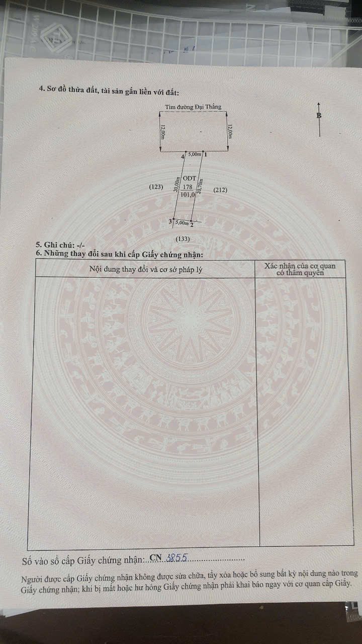Nhà cấp 4 mặt đường Đại Thắng, Hòa Nghĩa, Dương Kinh 101m² - Cơ hội đầu tư không thể bỏ qua!