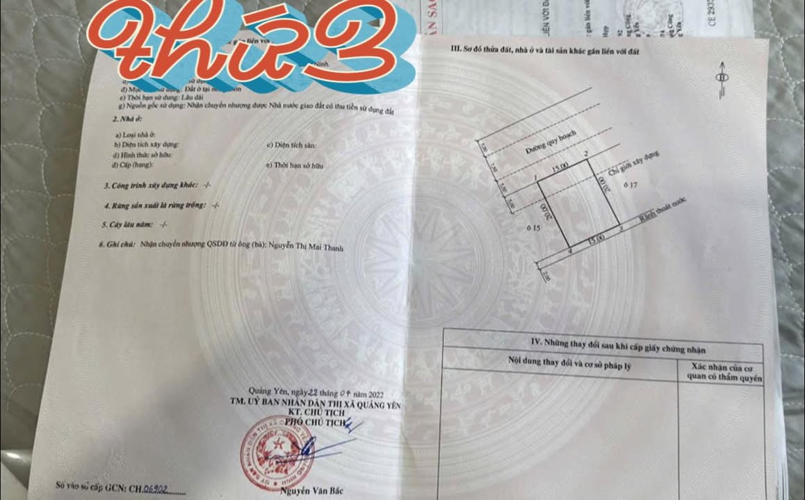 Đất nền Hoàng Tân Quảng Yên 300m² - Mặt tiền 15m, Sổ đỏ chính chủ!