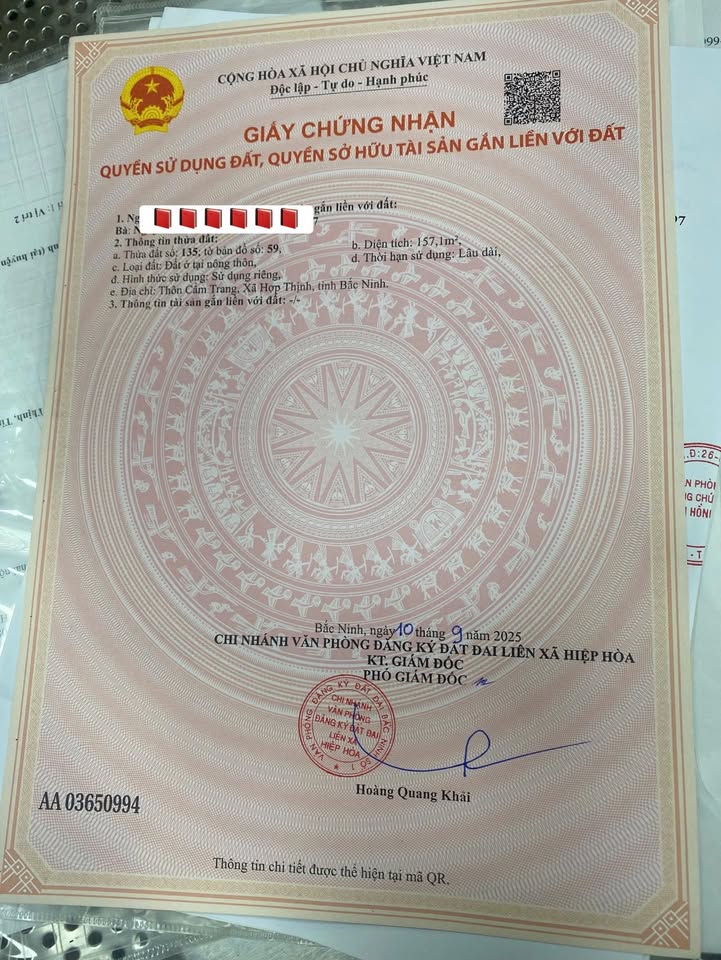 Đất thổ cư Cẩm Trang, Mai Trung, Hiệp Hòa 160m² giá 910 triệu - Vị trí tiềm năng, đường ô tô tránh!