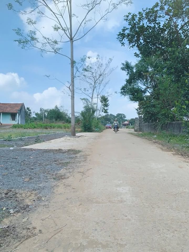 Đất thổ cư Thọ Cường, Triệu Sơn 250m² giá 300 triệu - Vị trí siêu đẹp, đầu tư sinh lời!