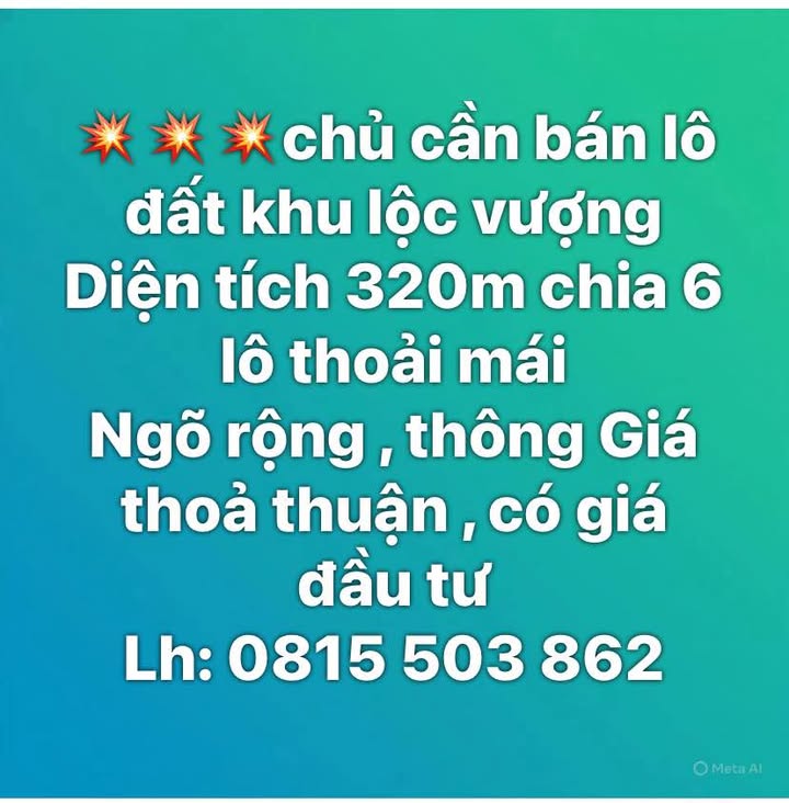 Đất nền Lộc Vượng Nam Định 320m² - Giá đầu tư hấp dẫn, cơ hội hiếm có!