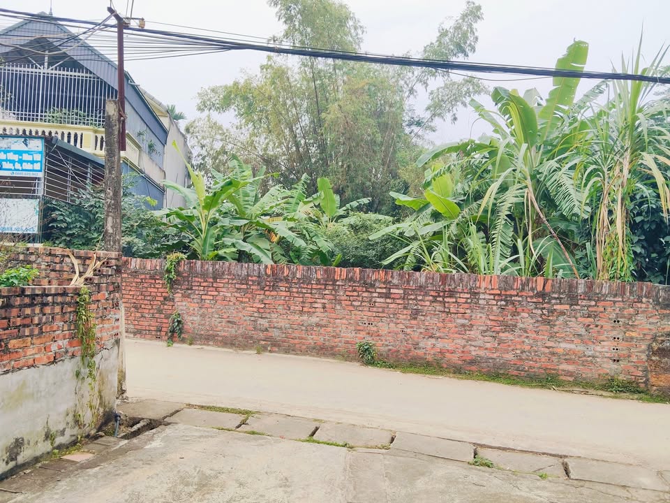 Đất Lại Thượng Thạch Thất 333m² giá 7.069 tỷ - Trục chính kinh doanh đắc địa!