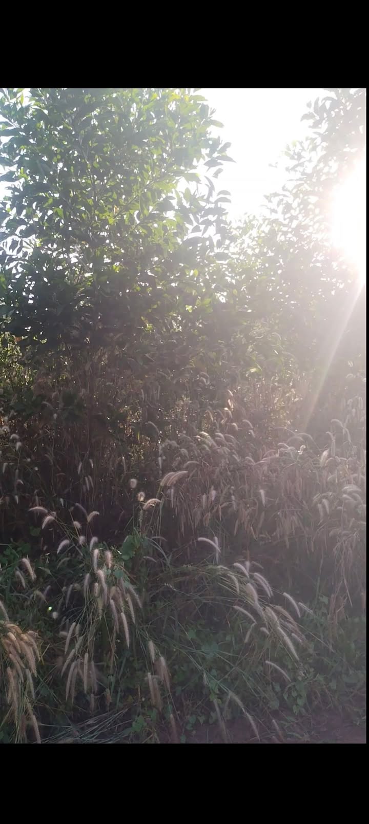 Đất nền Xuân Bắc, Xuân Lộc, Đồng Nai 3600m² giá 250 triệu - Đầu tư sinh lời hấp dẫn!