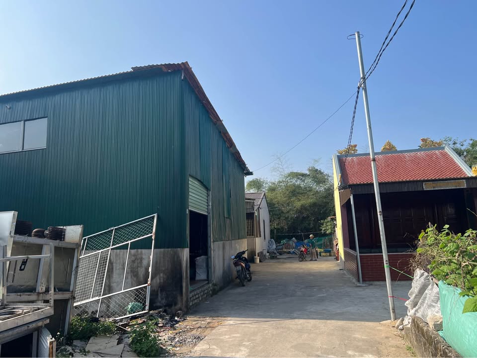 Đất nền 100m² tại Hưng Lộc, Vinh - Đầu tư sinh lời thuận lợi!