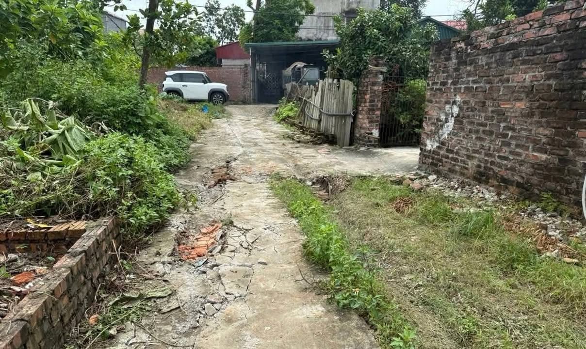 Đất Ngọc Nội Trạm Lộ 93m² giá 2 tỷ - Cơ hội đầu tư hấp dẫn!