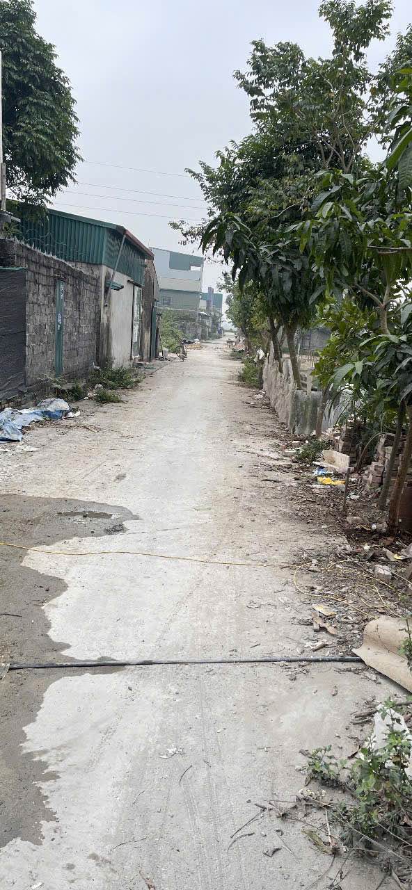 Lô đất làng nghề Khảm Trai, Chuyên Mỹ, Phú Xuyên 80m² giá 2.2 tỷ - Đầu tư sinh lời nhanh!