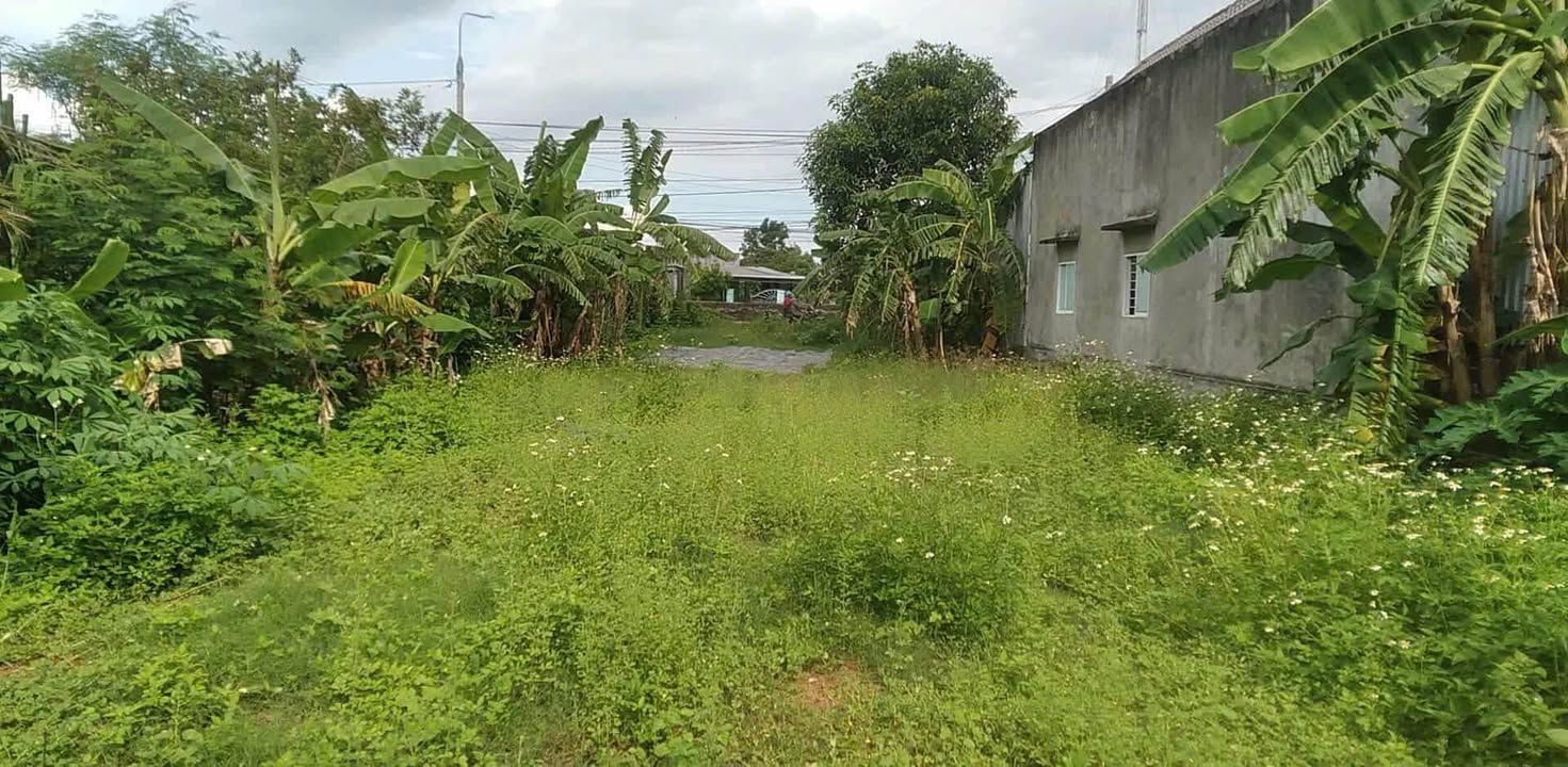 Đất mặt tiền Quốc lộ 1A Ninh An 536m² giá 3 tỷ - Cơ hội đầu tư lý tưởng!