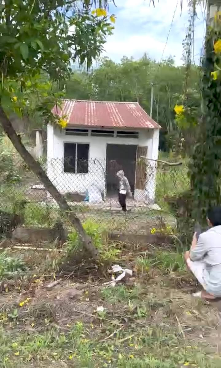 Đất mặt tiền Nguyễn Thị Rành, xã An Nhơn Tây 980m² giá 8 tỷ - Bán gấp lỗ cho khách thiện chí!