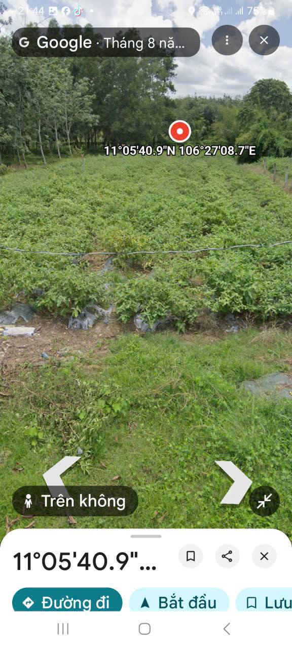 Đất nền An Nhơn Tây Củ Chi 1000m² giá 4.5 tỷ - Đầu tư tiềm năng ngay hôm nay!