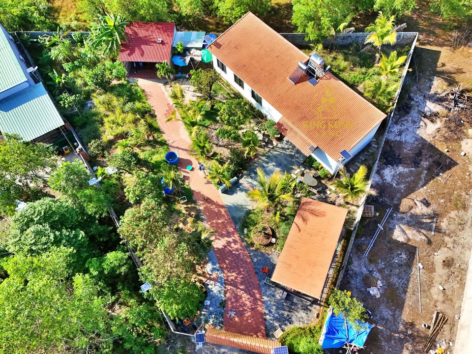 Đất vườn Cửa Dương Phú Quốc 1210m² chỉ 3.65 tỷ - Sổ hồng riêng, không quy hoạch!