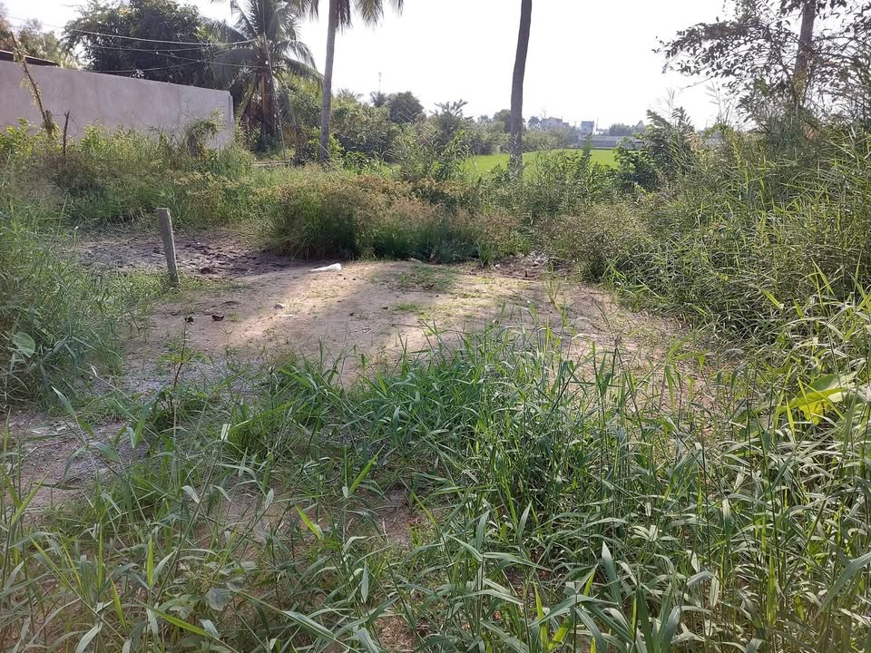 Đất nền Vĩnh Hòa Hiệp 120m² giá 300 triệu - Cơ hội đầu tư hấp dẫn!