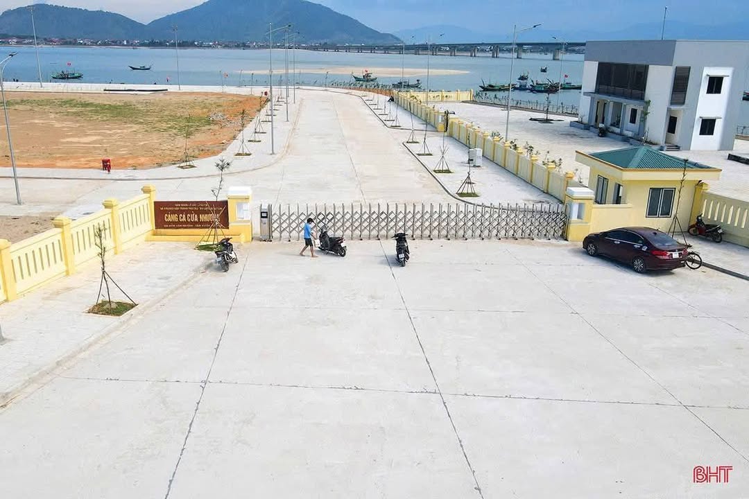 Đất Cẩm Nhượng 352m² giá 6 tỷ - Kinh doanh sầm uất, đầu tư sinh lời!