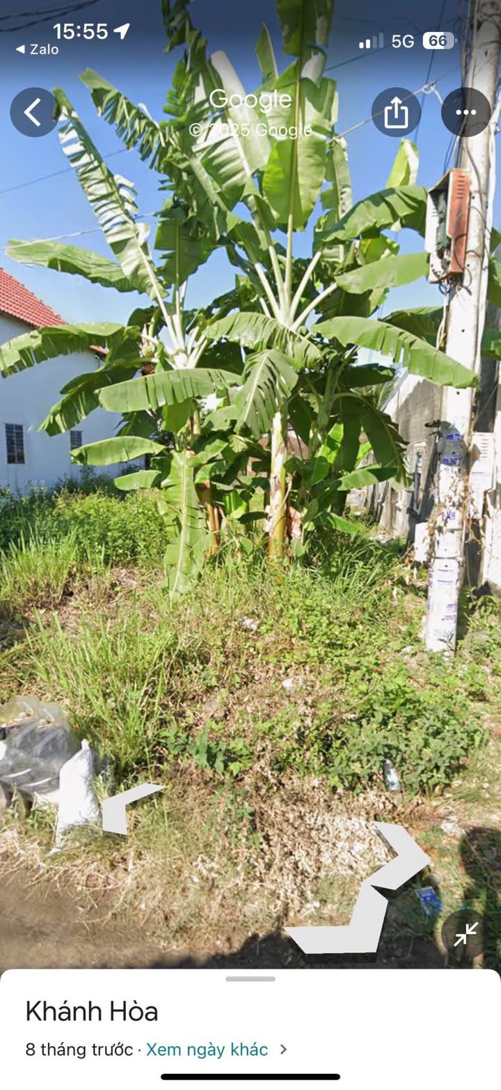 Lô đất Cư Thạnh - Suối Hiệp Diên Khánh 186m² giá 1.5 tỷ - Cơ hội đầu tư hấp dẫn!