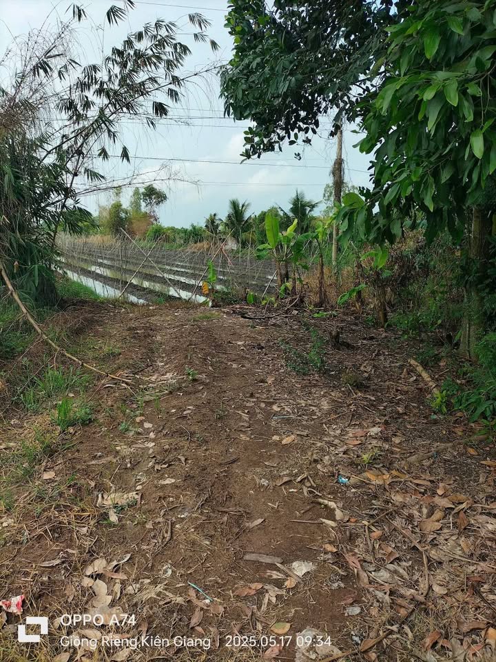 Đất vườn 2 mặt tiền ấp Minh Tân 3416m² giá 980 triệu - Tiềm năng đầu tư cao!