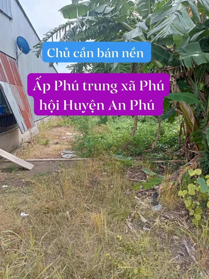 Đất nền ấp Phú Trung, xã Nhơn Hội, An Phú, 70m² - Giá chỉ 470 triệu, cơ hội đầu tư tuyệt vời!