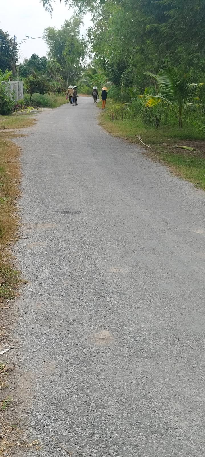 Đất nền mặt tiền Kênh Bốn Tổng, Vĩnh Khánh 350m² - Giá chỉ 500 triệu!