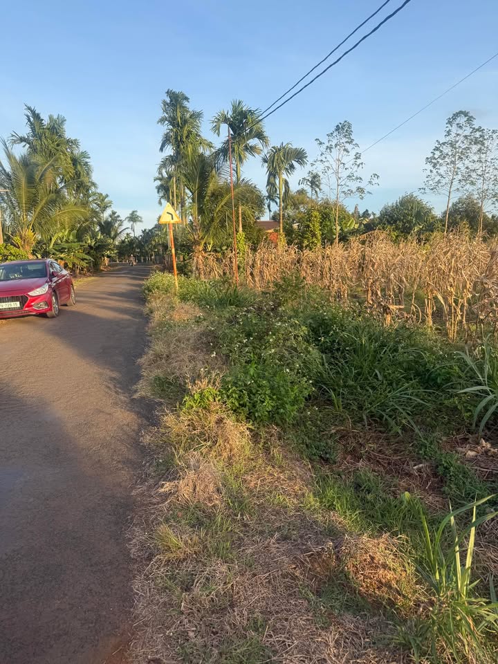 Đất thổ cư mặt tiền đường nhựa 20x66m tại Ea Na - Đầu tư sinh lời ngay!