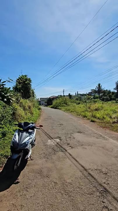 Đất nền Bảo Lộc 3000m² giá 14.5 tỷ - Đầu tư sinh lời tuyệt vời!