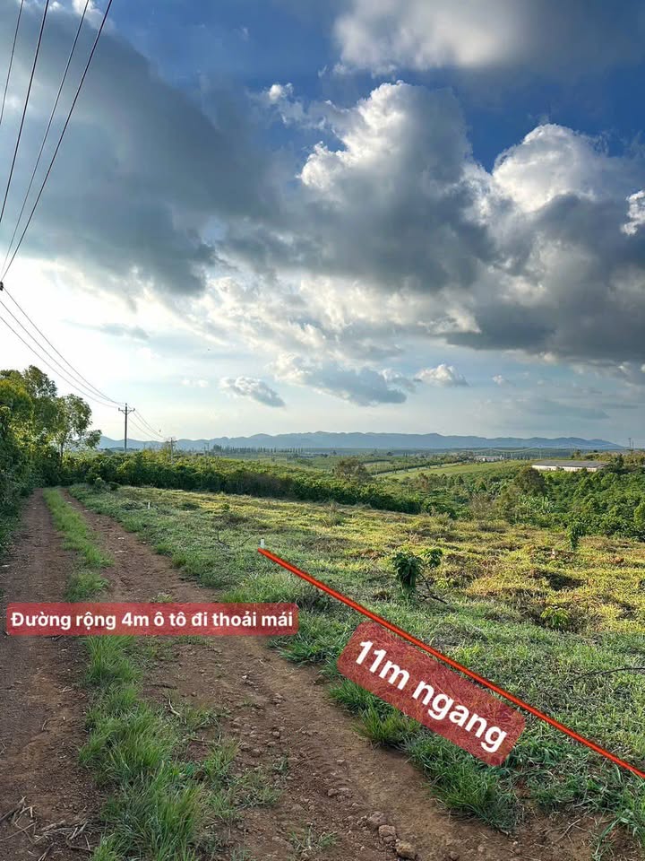 Đất nền Lộc Quảng Bảo Lâm 1000m² giá chỉ 800 triệu - Cơ hội đầu tư hiếm có!