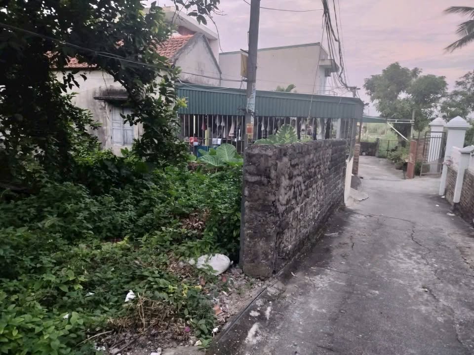 Đất nền chính chủ tại Việt Hưng, Hạ Long 99,3m² giá chỉ 21 triệu/m² - Đầu tư sinh lời ngay!