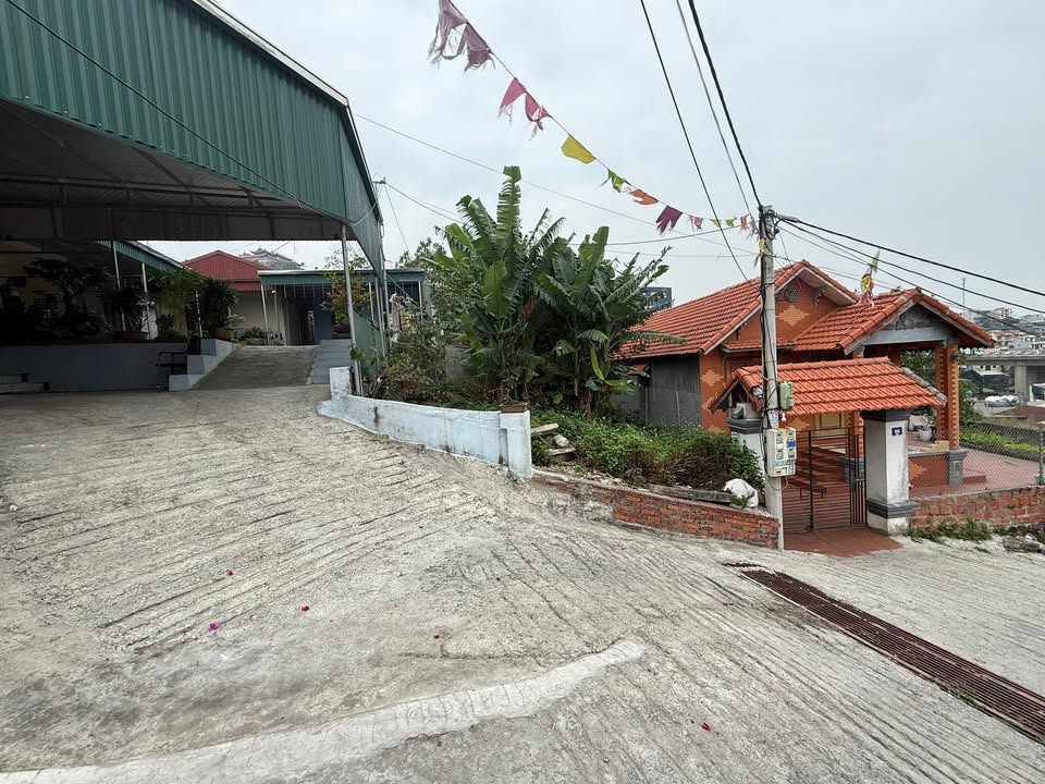 Đất nền Trần Hưng Đạo, Hạ Long 120m² giá 1.5 tỷ - Cơ hội đầu tư hấp dẫn!