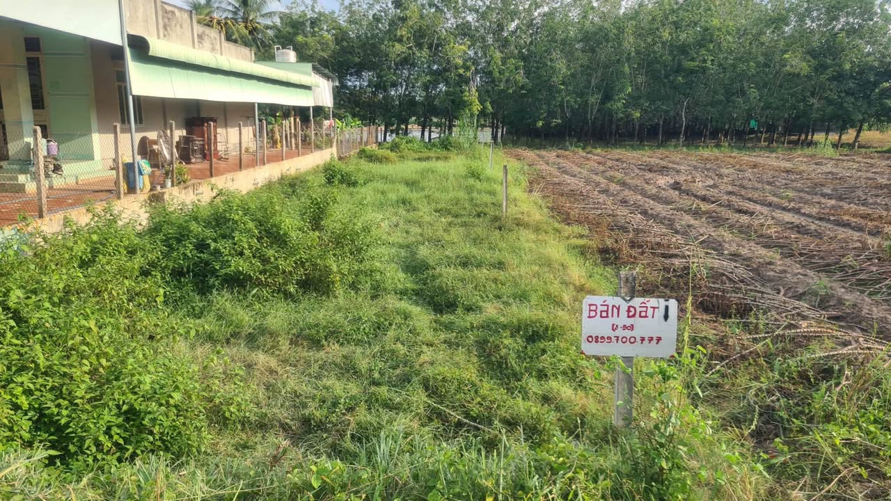 Đất thổ cư 400m² xã Châu Thành - Tiện ích đầy đủ, giá thỏa thuận!