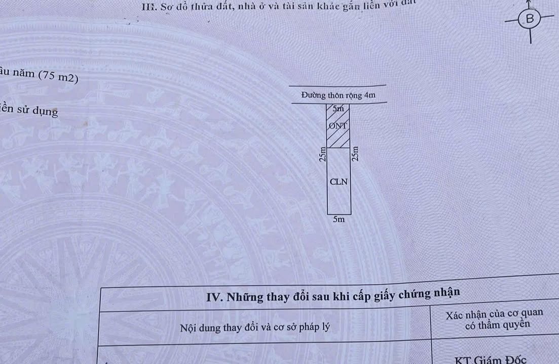 Đất nền liền kề MB79 Đồng Đá, Quảng Thành 125m² giá 1.38 tỷ - Cơ hội đầu tư không thể bỏ lỡ!
