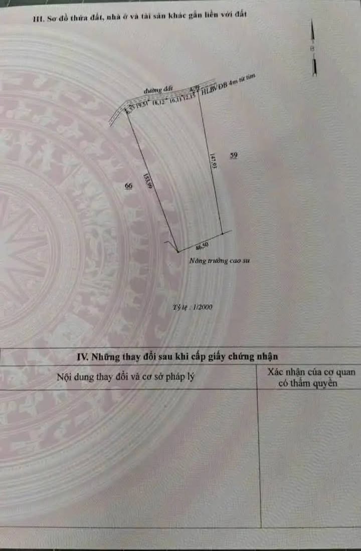 Đất nông nghiệp Tân Hưng Hớn Quản 10,000m² giá 1.3 tỷ - Đầu tư sinh lời tuyệt vời!