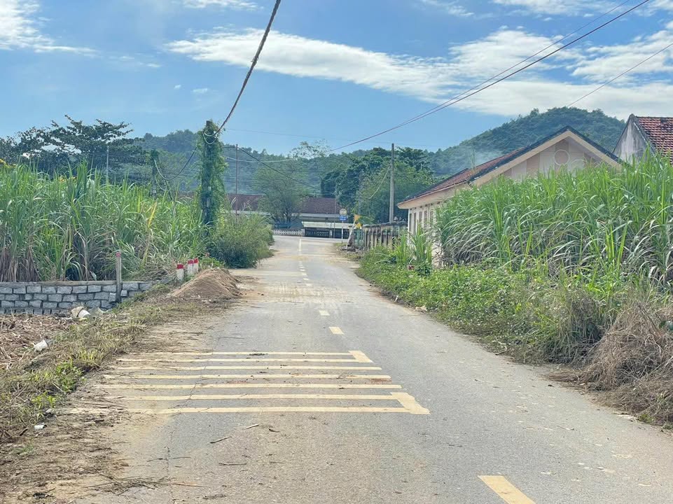 Đất nền Diên Đồng Diên Khánh 100m² giá đầu tư - Mặt tiền đường rộng 7-8m!