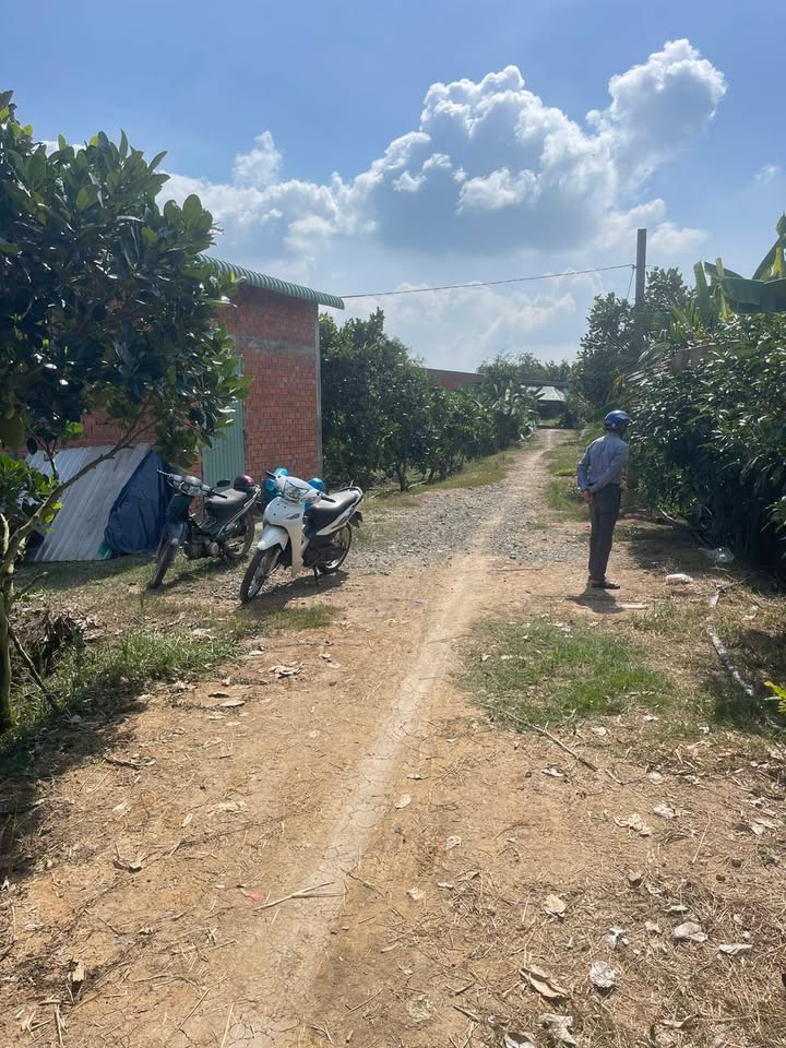 Đất vườn tại xã Tân Bình, Tân Trụ, Long An 8.4ha giá 3.6 tỷ - Chủ cần bán gấp!