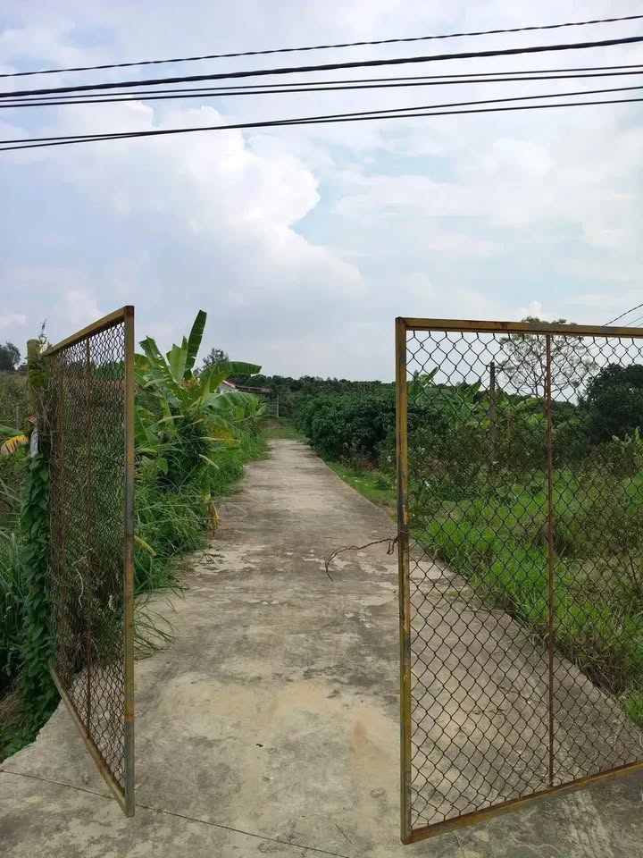 Đất vườn Nam Dương 2,1 mẫu giá 907 triệu - Đầu tư sinh lời ngay!