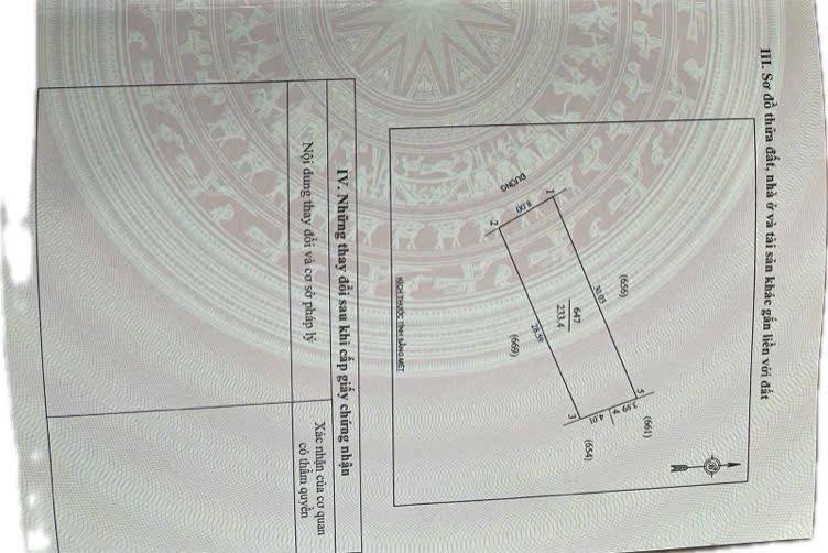 Đất Nghi Kim Vinh 233m² giá 4 tỷ - Cơ hội đầu tư biệt thự tuyệt vời!