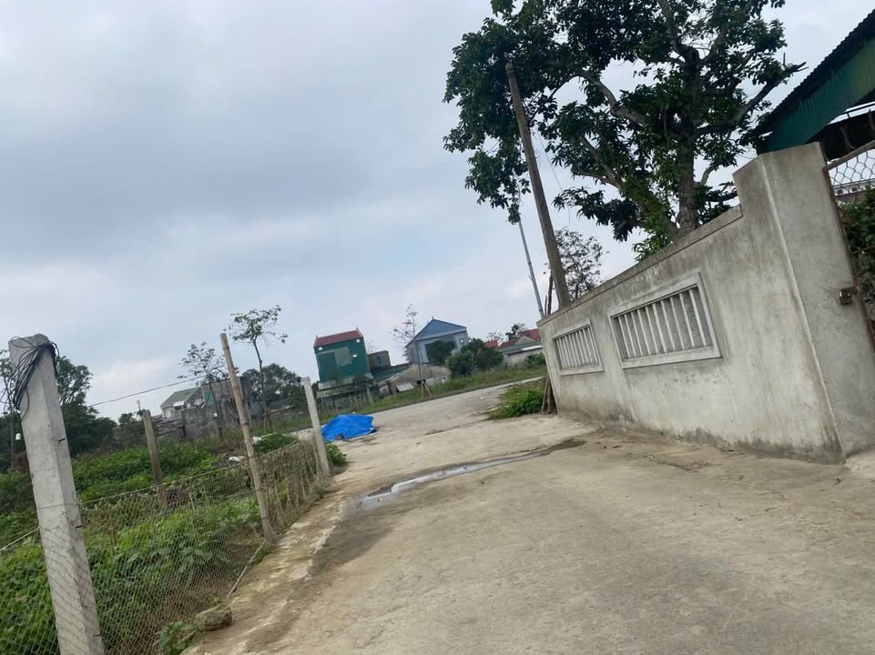 Đất nền Nghi Ân Vinh 130,1m² giá 3,3 tỷ - Vị trí đắc địa, giao thông thuận lợi!