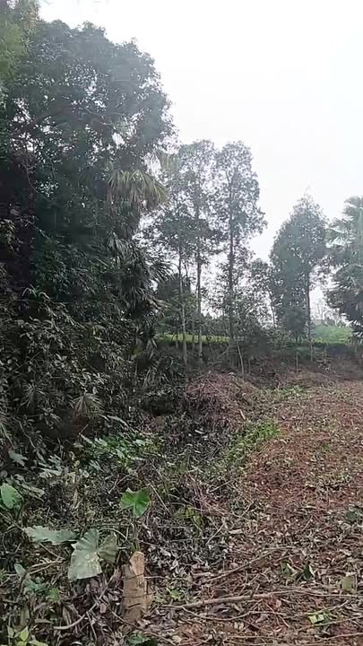 Đất nền Phấn Mễ, Phú Lương 1800m² giá 700 triệu - Cơ hội đầu tư tuyệt vời!