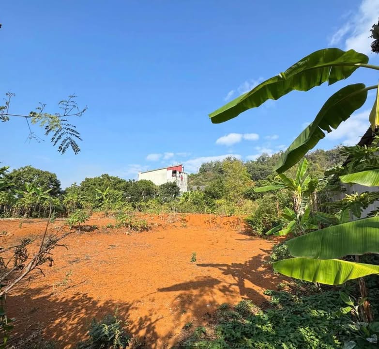 Đất thổ cư Chiềng Sinh 310m² giá 800 triệu - Ô tô vào tận nơi!